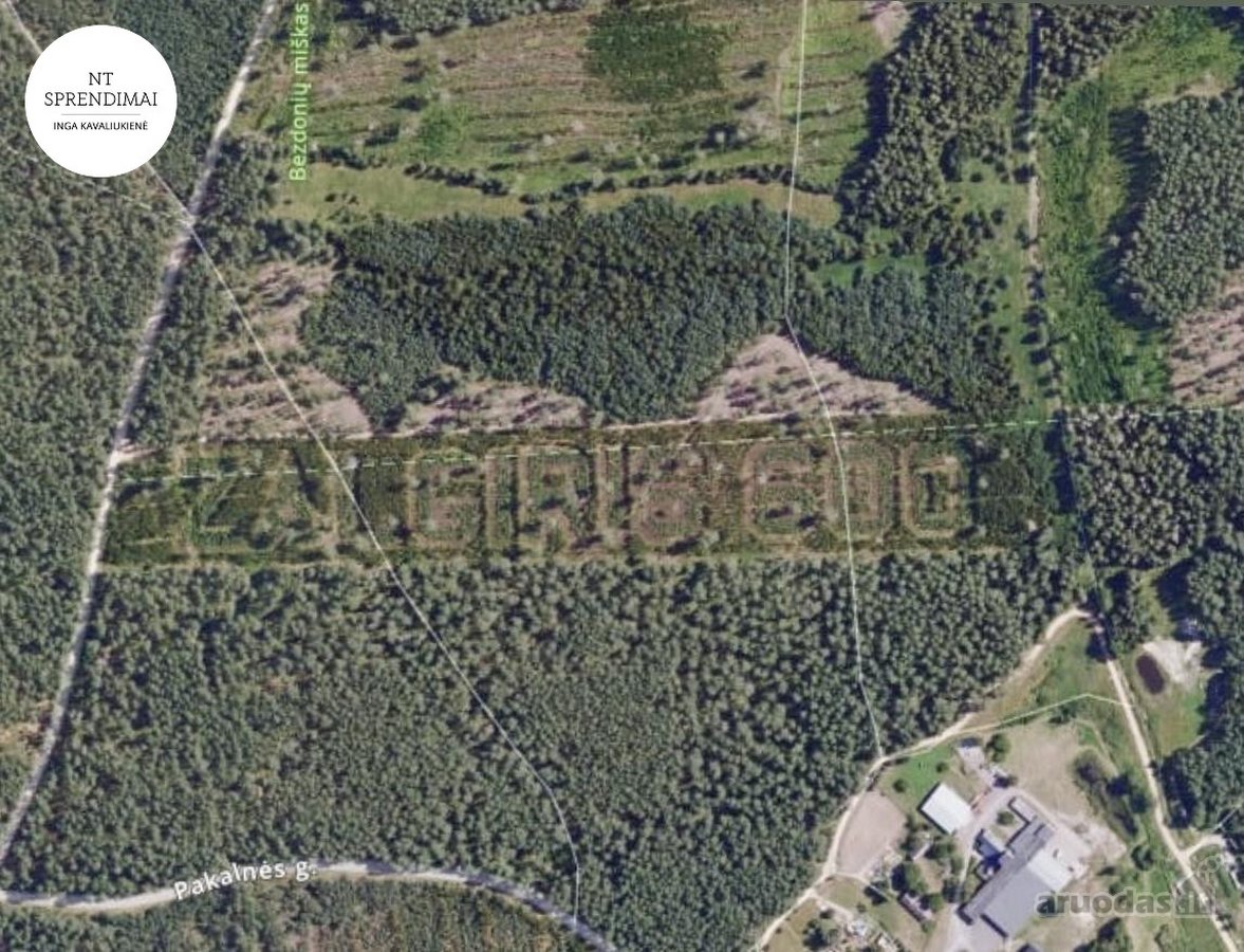 Miškų apsupty, parduodamas beveik hektaras - nuotraukos Nr. 6