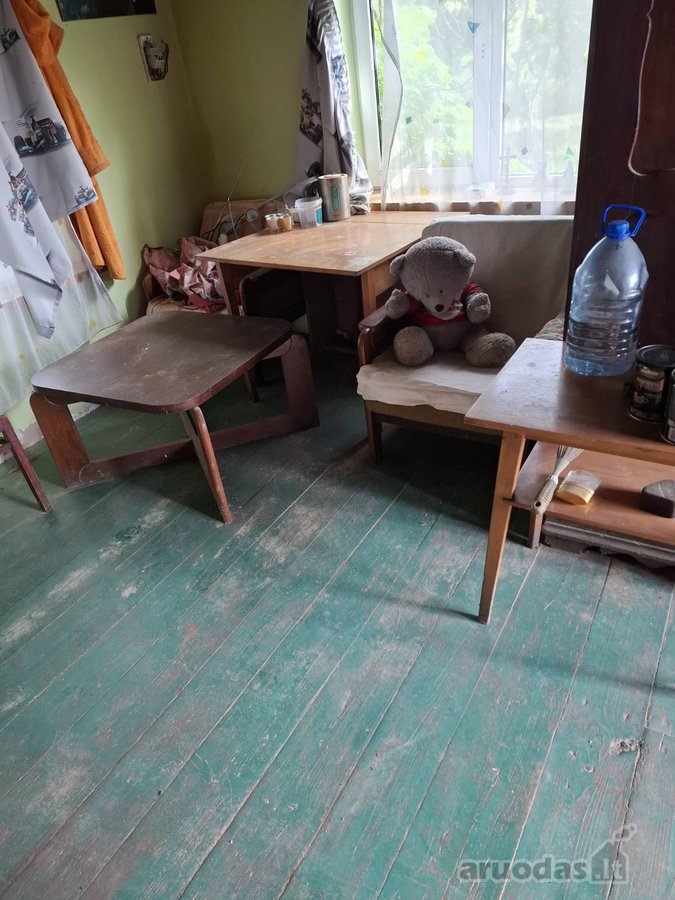 Nuomojamas vienkiemis su 1ha žemės su sodu, - nuotraukos Nr. 31
