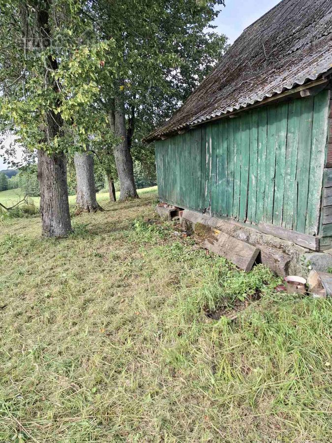 Nuomojamas vienkiemis su 1ha žemės su sodu, - nuotraukos Nr. 33