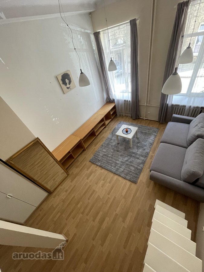 Išnuomojamas erdvus 1 k. butas Vilniuje - nuotraukos Nr. 3
