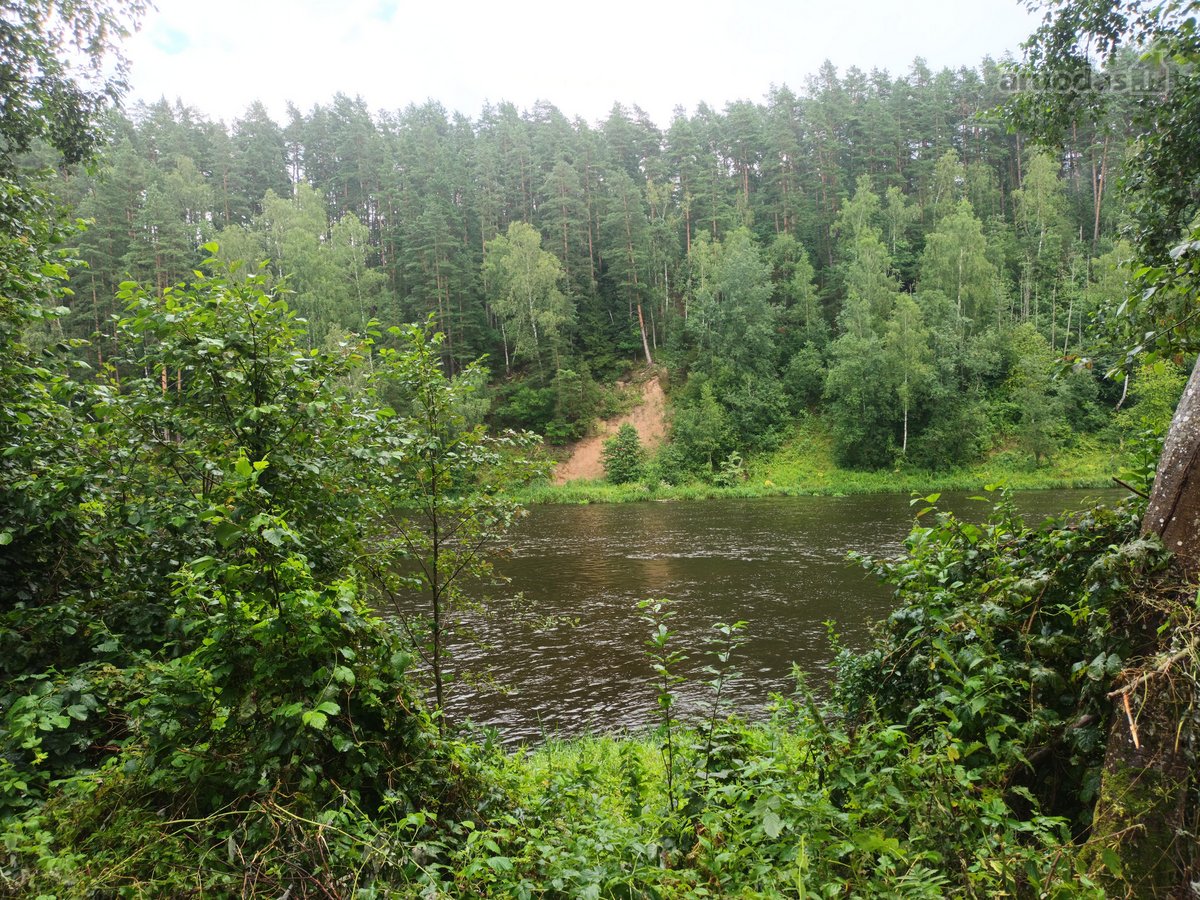 Parduodamas 99.91 aro žemės sklypas. Sklypas - nuotraukos Nr. 5