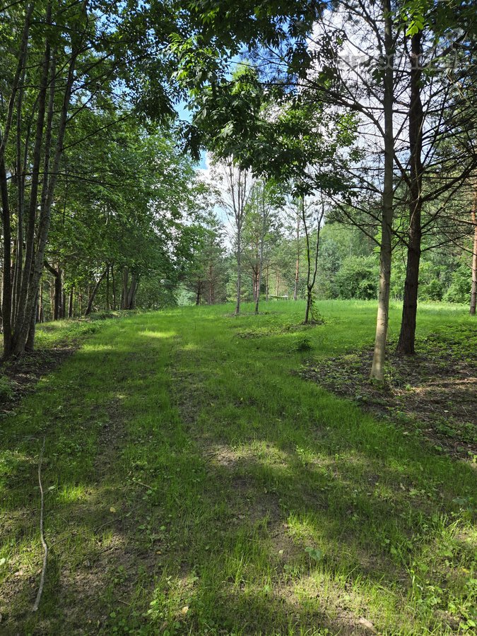 Sodybviete 1,60 ha su 200m smeletos ežero - nuotraukos Nr. 36