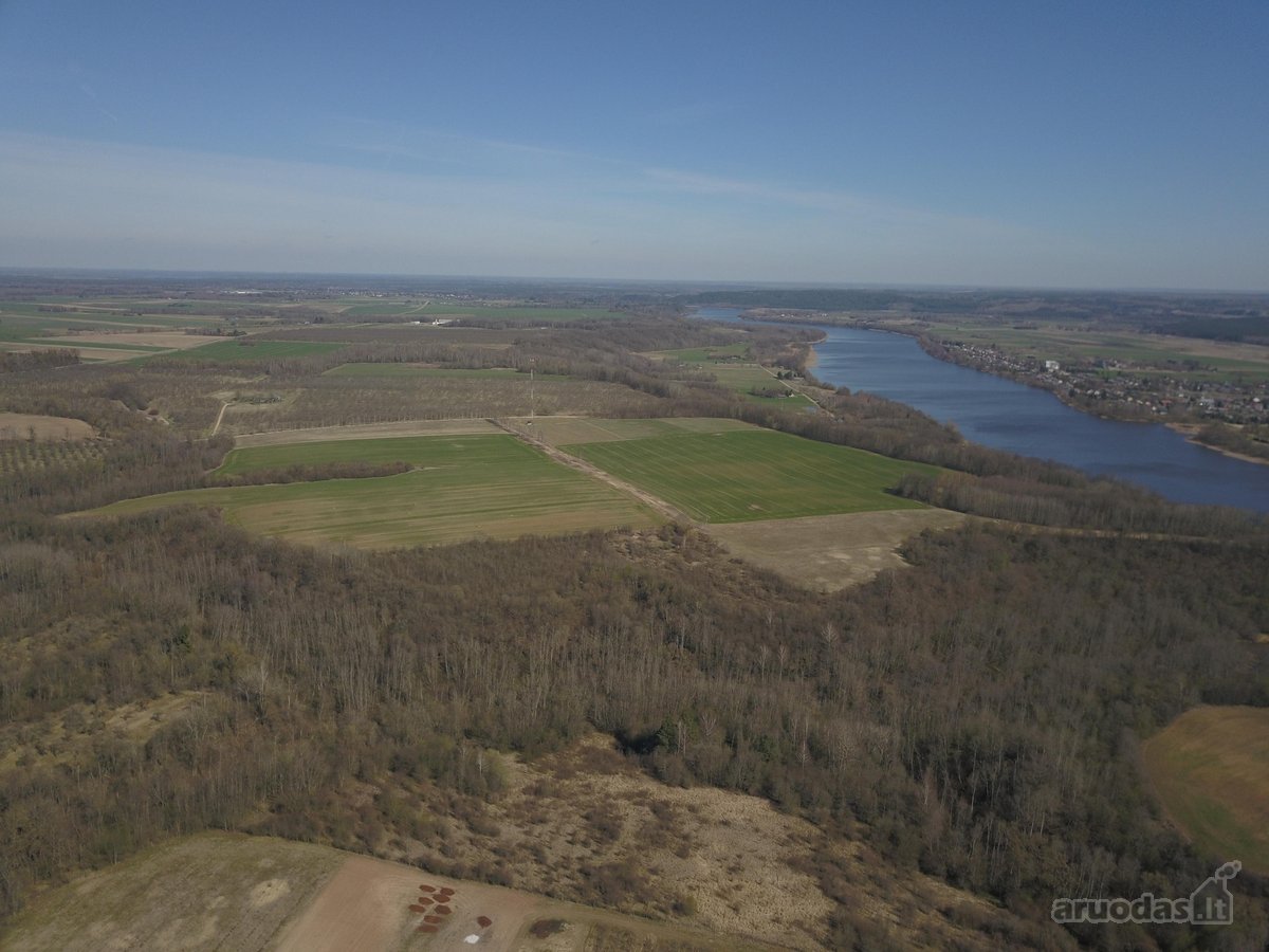Parduodamas žemės ūkio paskirties sklypas - nuotraukos Nr. 2