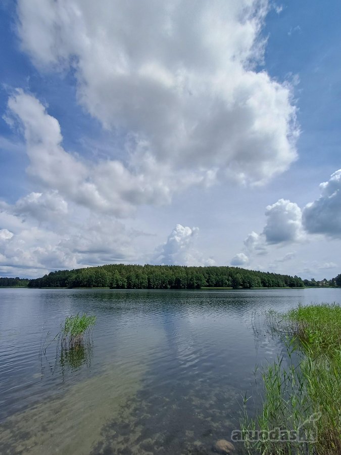 Jūs Būsite Pirmas Gyventojas Po Kapitalinio - nuotraukos Nr. 18