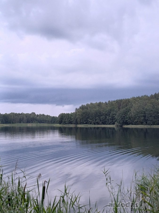 Jūs Būsite Pirmas Gyventojas Po Kapitalinio - nuotraukos Nr. 19