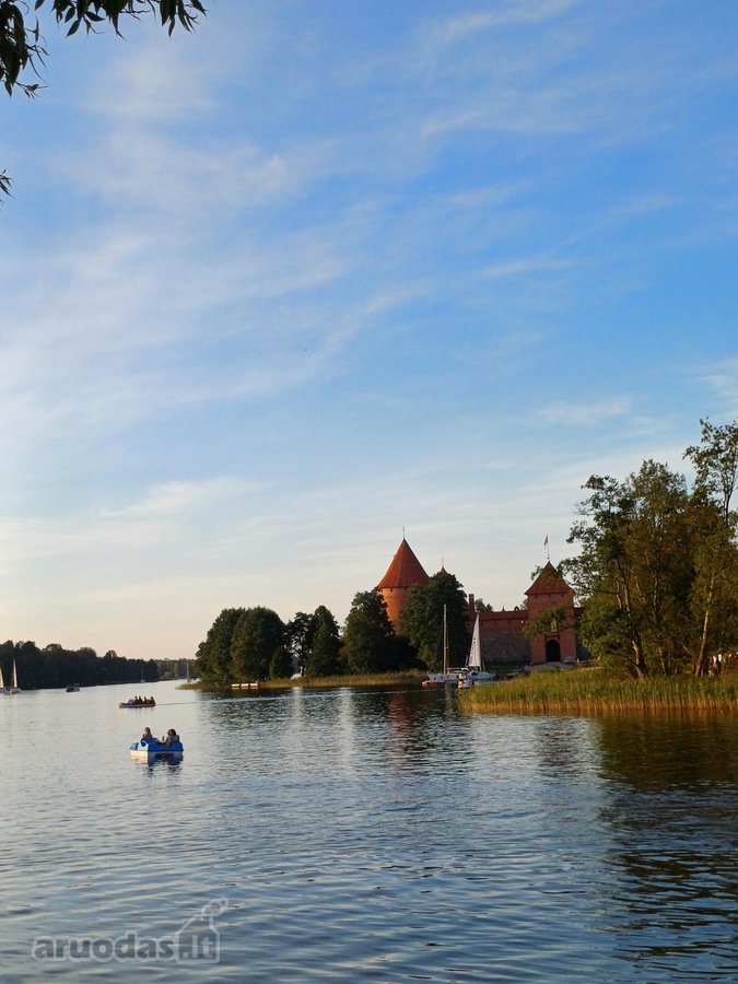 Jūs Būsite Pirmas Gyventojas Po Kapitalinio - nuotraukos Nr. 20