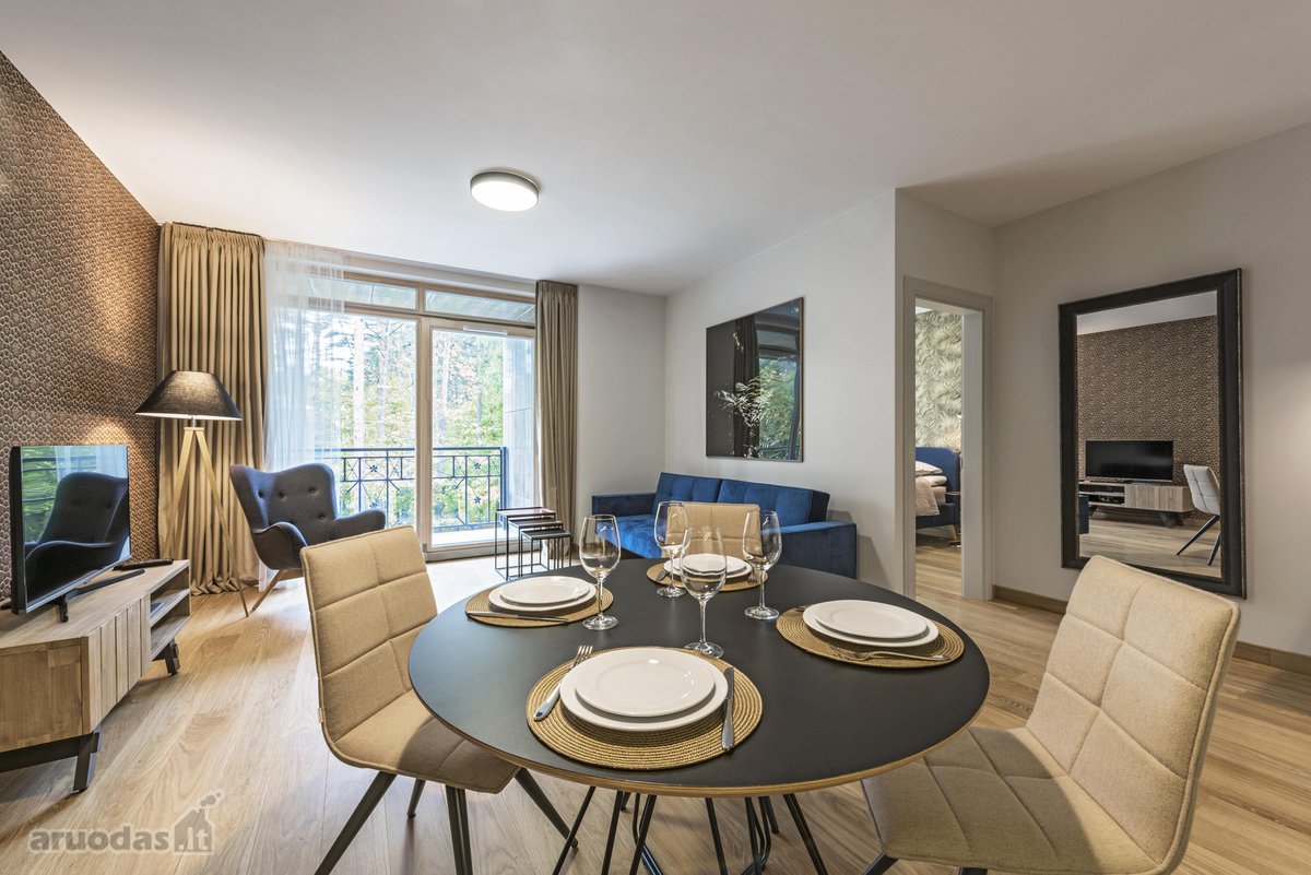 Vieno miegamojo apartamentas (53 kv.m,