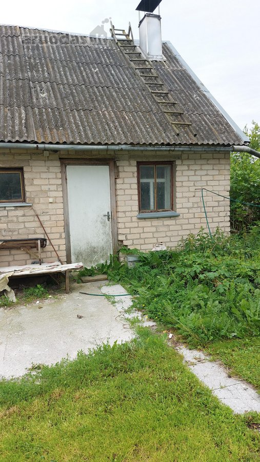 Pakruojo r. sav., Mediniškių k. - nuotraukos Nr. 3