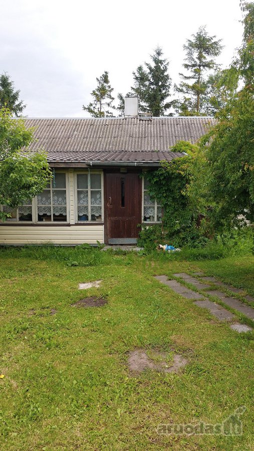 Pakruojo r. sav., Mediniškių k. - nuotraukos Nr. 4