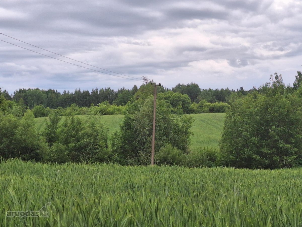 Parduodamas žemės ūkio paskirties sklypas. - nuotraukos Nr. 2