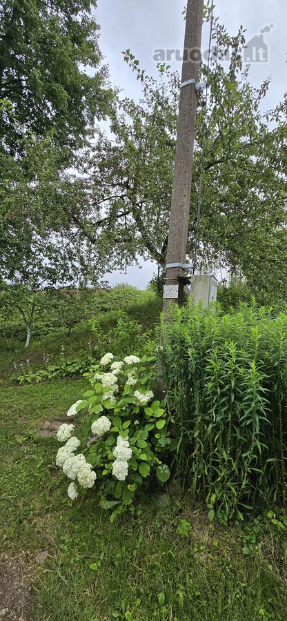 Parduodamas 12 arų sodo sklypas Utenos r. sav - nuotraukos Nr. 7