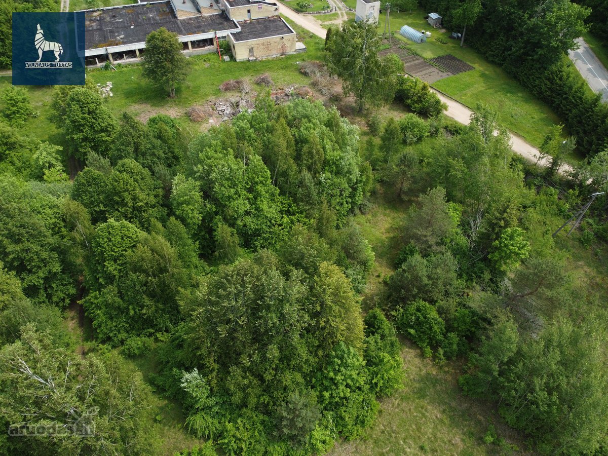 Parduodamas 63,22 a rekreacinės paskirties - nuotraukos Nr. 2