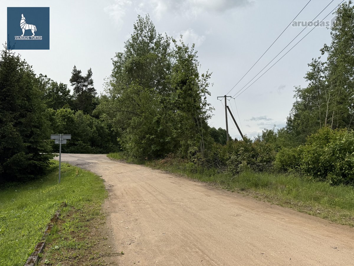Parduodamas 63,22 a rekreacinės paskirties - nuotraukos Nr. 7