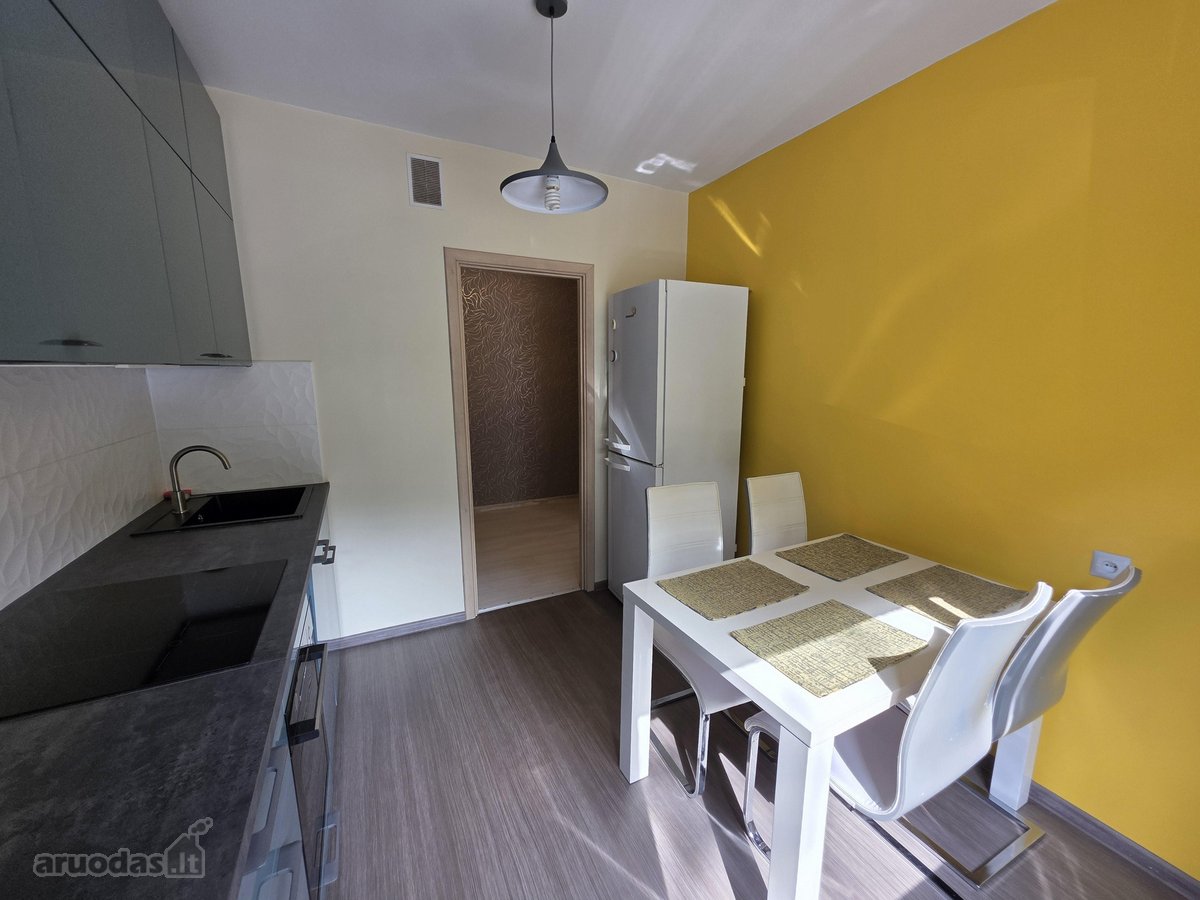 Išnuomojamas erdvus, labai tvarkingas vieno - nuotraukos Nr. 13