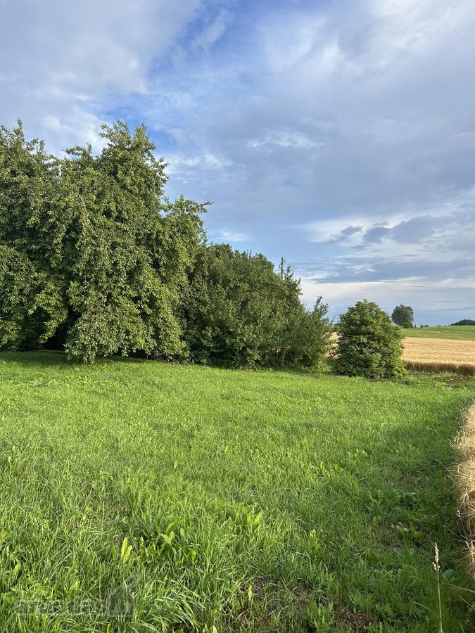 Kalvarijos sav., Brukų k., parduodama sodyba - nuotraukos Nr. 9