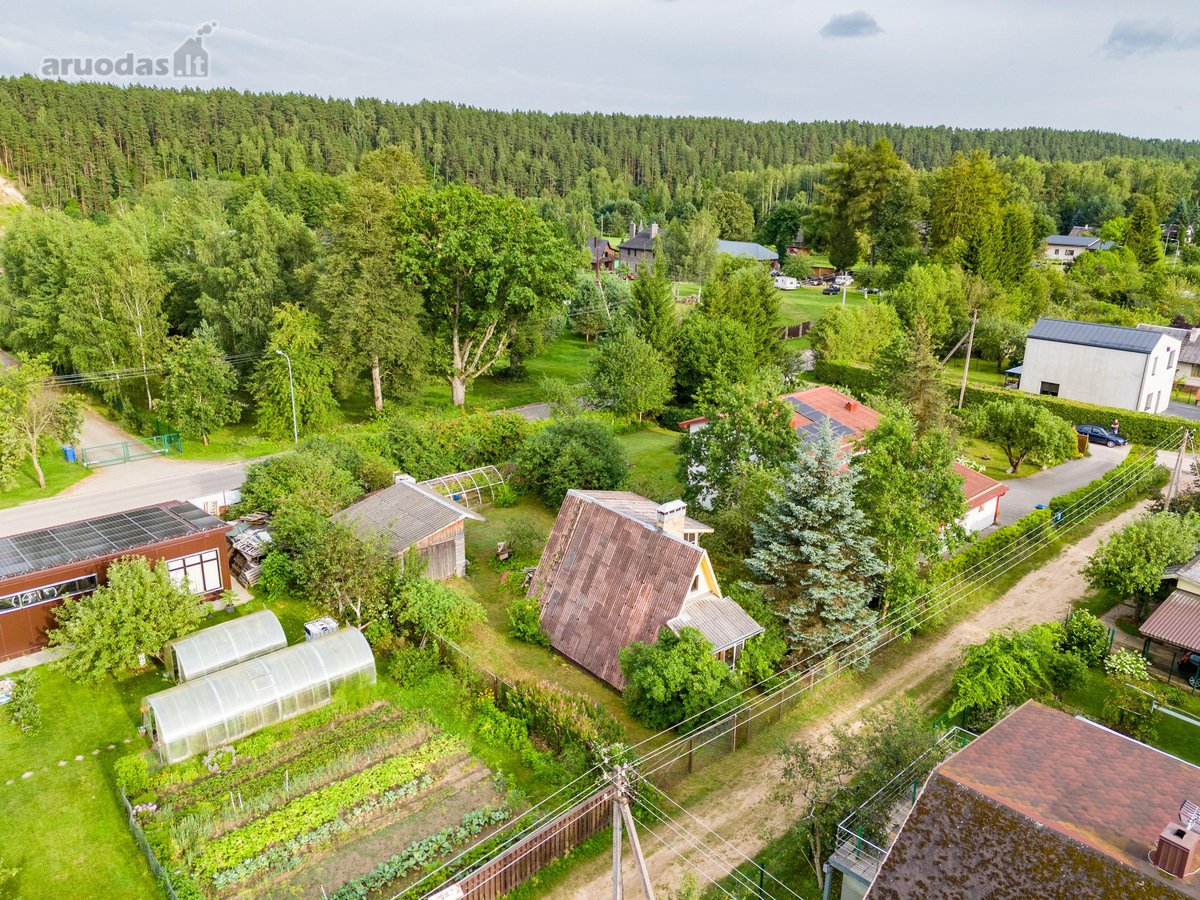 Parduodamas sodo sklypas Skirgiškėse. Sklype - nuotraukos Nr. 7