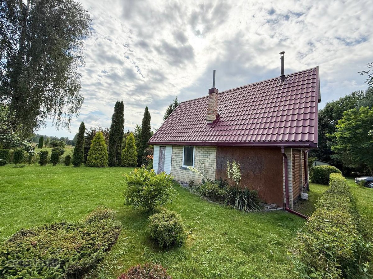 Ventos vingyje, Šilelio miško apsuptyje - nuotraukos Nr. 5