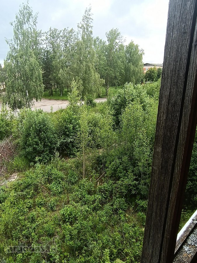 Žemės sklypas nesuformuotas,reik susiformuoti - nuotraukos Nr. 15
