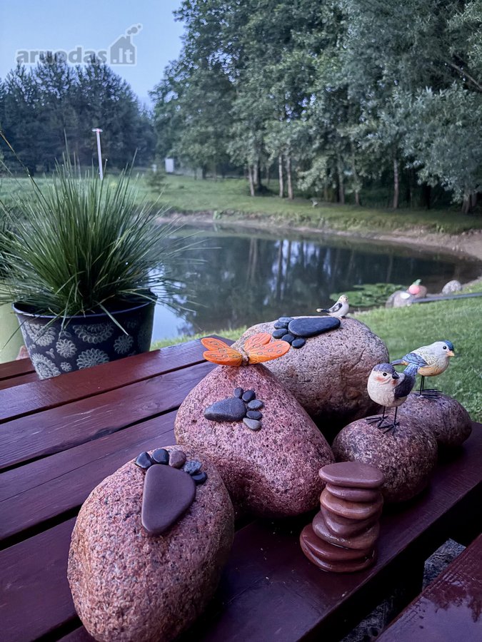 Parduodama išskirtinė sodyba gamtos apsuptyje - nuotraukos Nr. 29