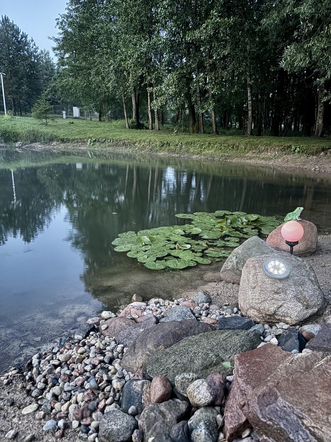 Parduodama išskirtinė sodyba gamtos apsuptyje - nuotraukos Nr. 30