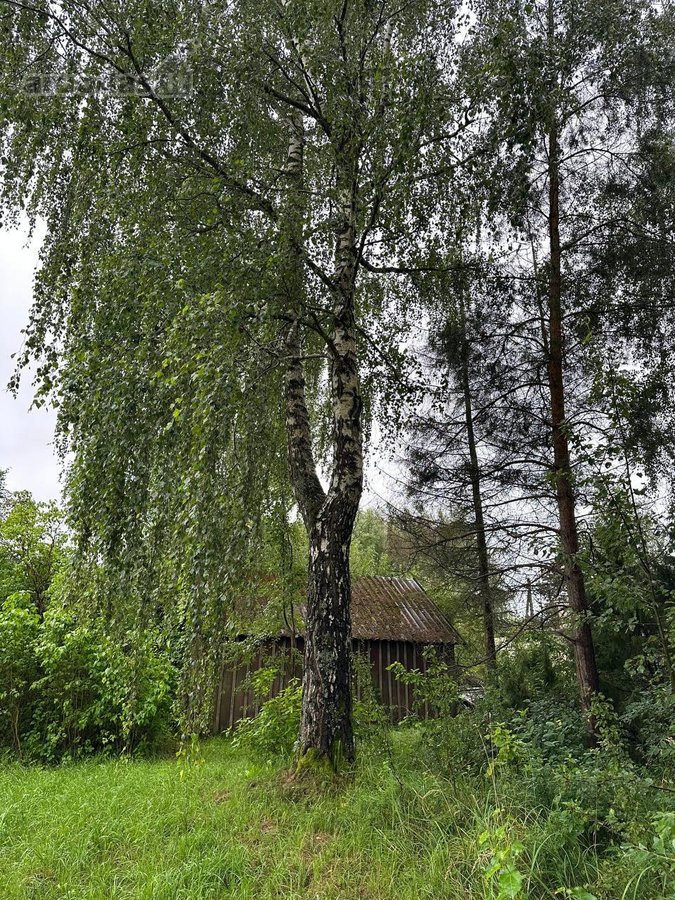Parduodamas namas Panemunėlio glž. st. - nuotraukos Nr. 10