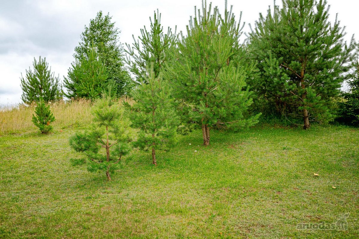 Parduodamas 36 arų sklypas Bulėnų k., Šiaulių - nuotraukos Nr. 14