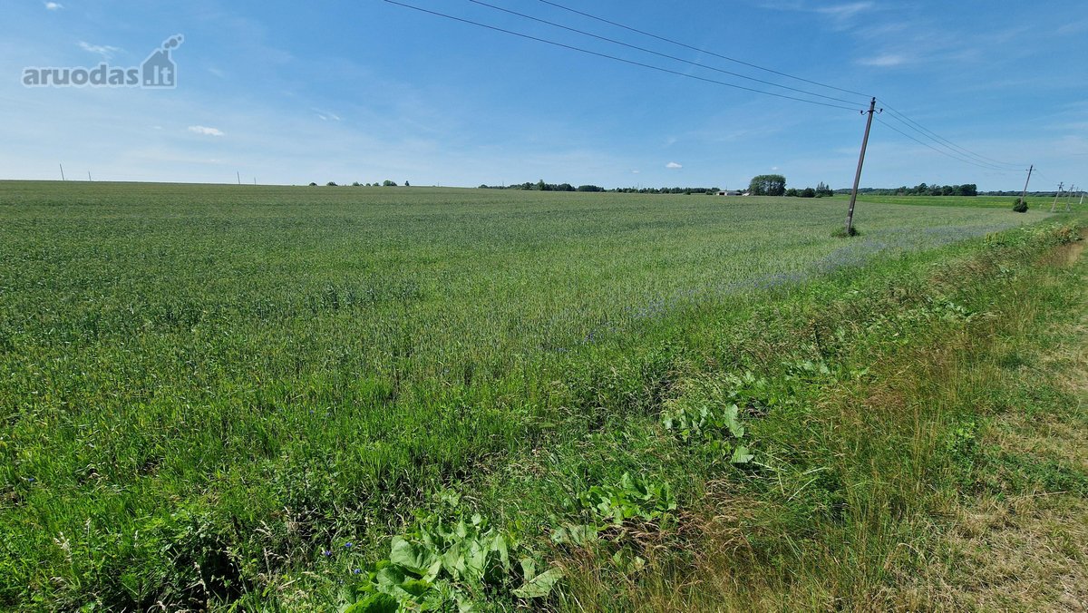 Asmenine pm siūlykite ir savo kainą. Žemė - nuotraukos Nr. 2
