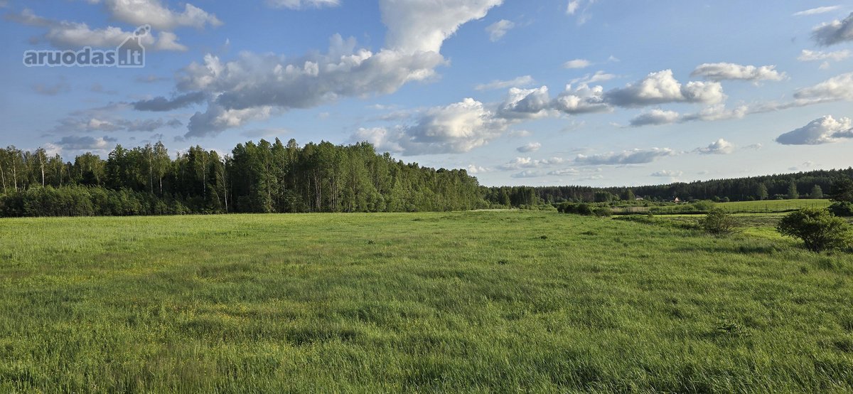 Parduodamas Namų Valdos Sklypas Šalia - nuotraukos Nr. 22