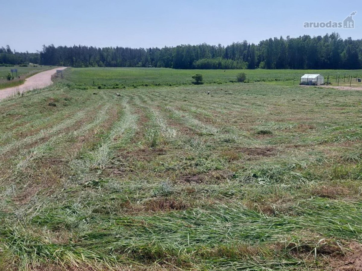 Parduodamas Namų Valdos Sklypas Šalia - nuotraukos Nr. 23