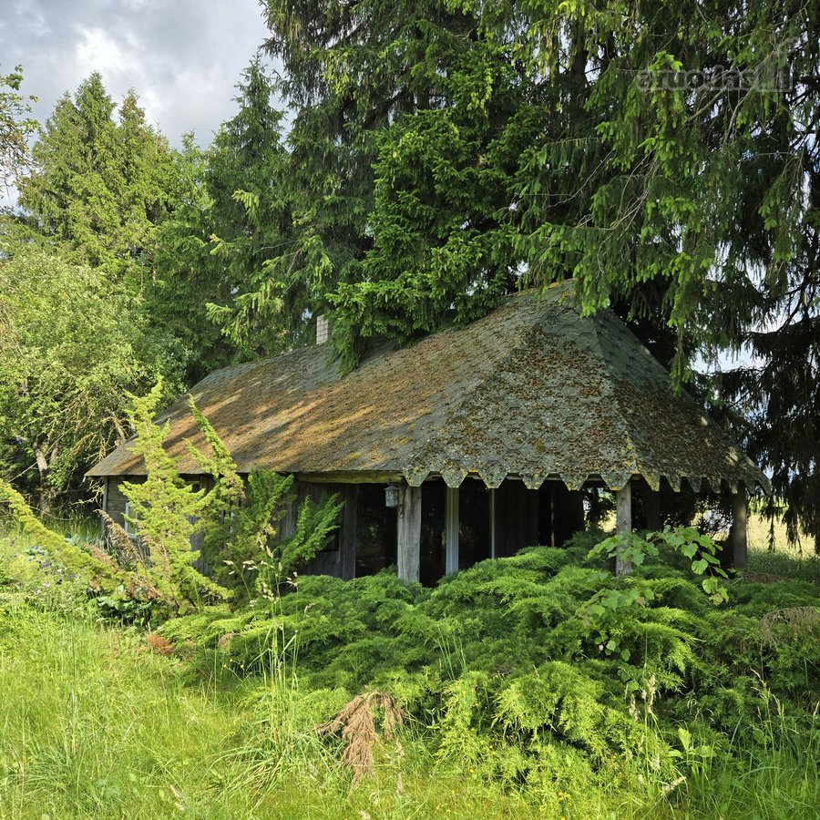 Eglėmis ir uosiais apjuosta , netoli - nuotraukos Nr. 4