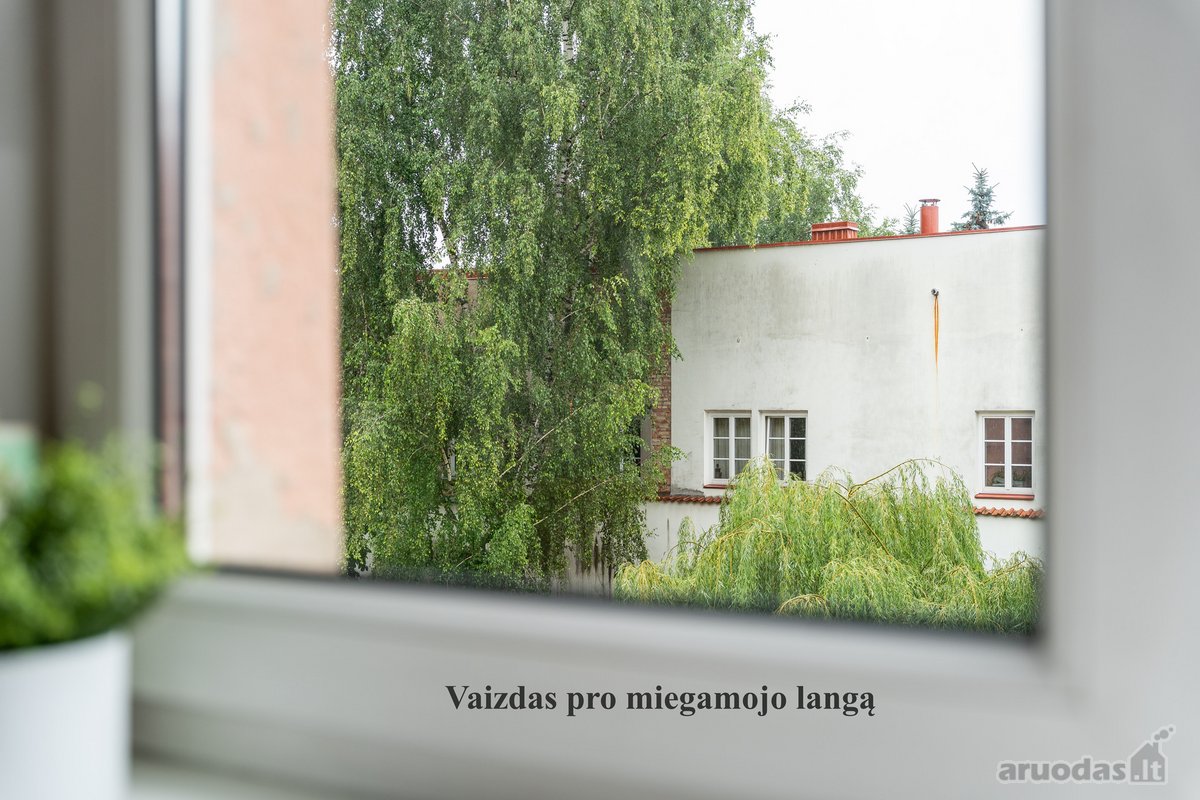 Objekto nuotrauka