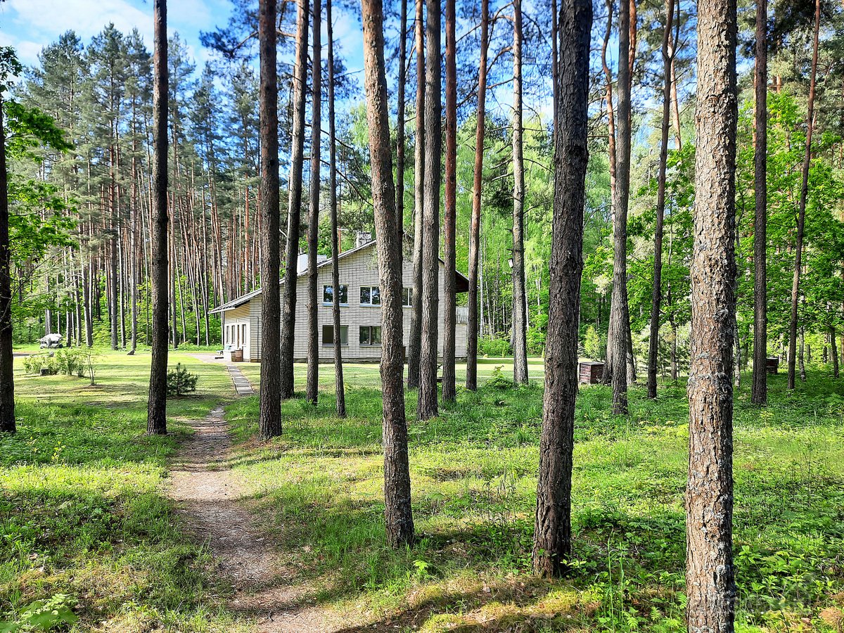 Unikali Oazė Gamtos Apsuptyje Labanoro - nuotraukos Nr. 18