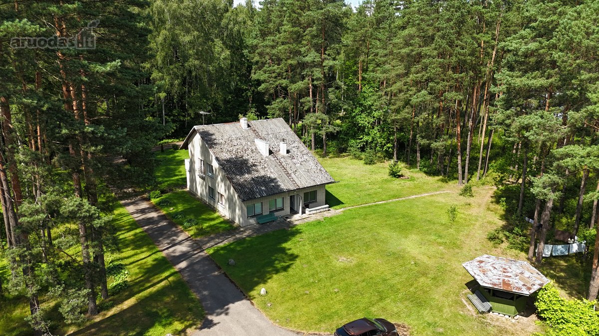 Unikali Oazė Gamtos Apsuptyje Labanoro - nuotraukos Nr. 15