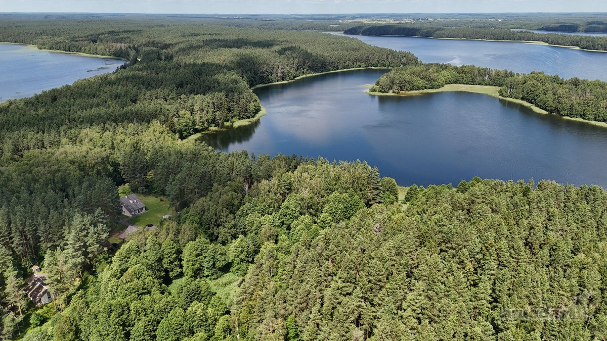 Unikali Oazė Gamtos Apsuptyje Labanoro - nuotraukos Nr. 7