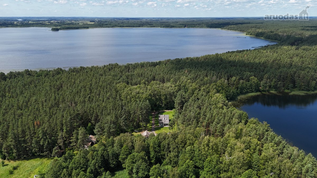 Unikali Oazė Gamtos Apsuptyje Labanoro - nuotraukos Nr. 2