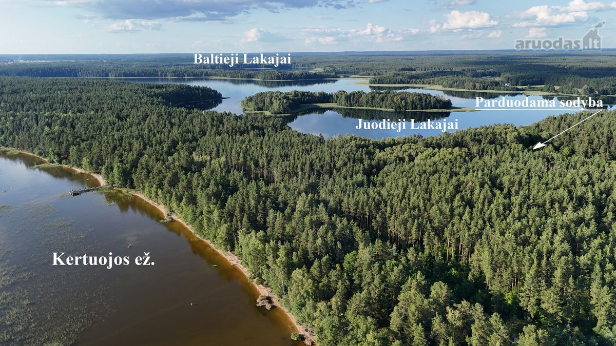 Unikali Oazė Gamtos Apsuptyje Labanoro