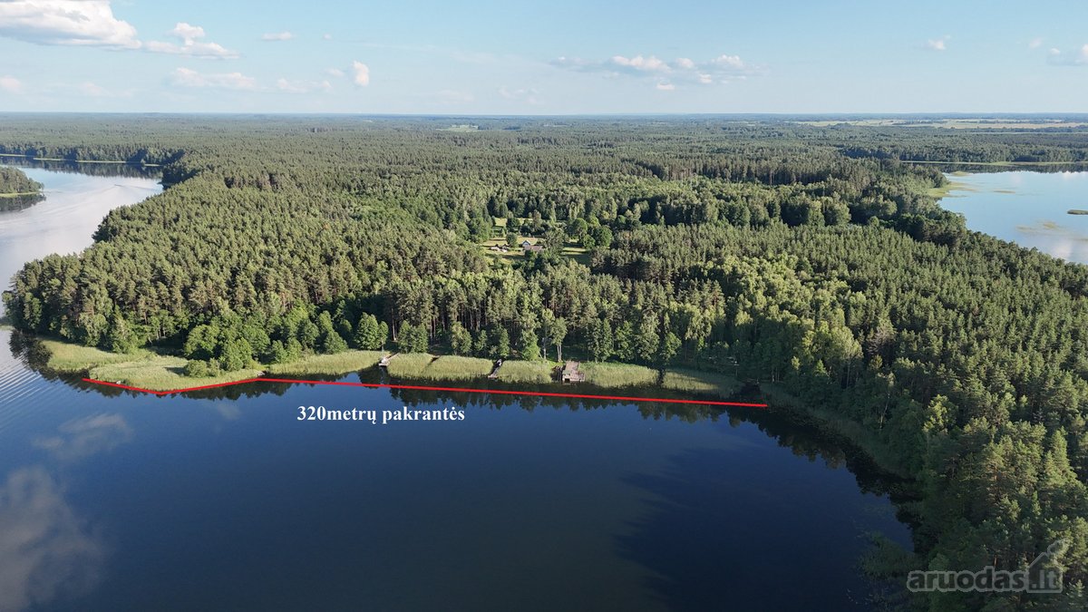 Unikali Oazė Gamtos Apsuptyje Labanoro - nuotraukos Nr. 8