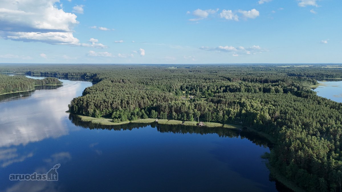 Unikali Oazė Gamtos Apsuptyje Labanoro - nuotraukos Nr. 5