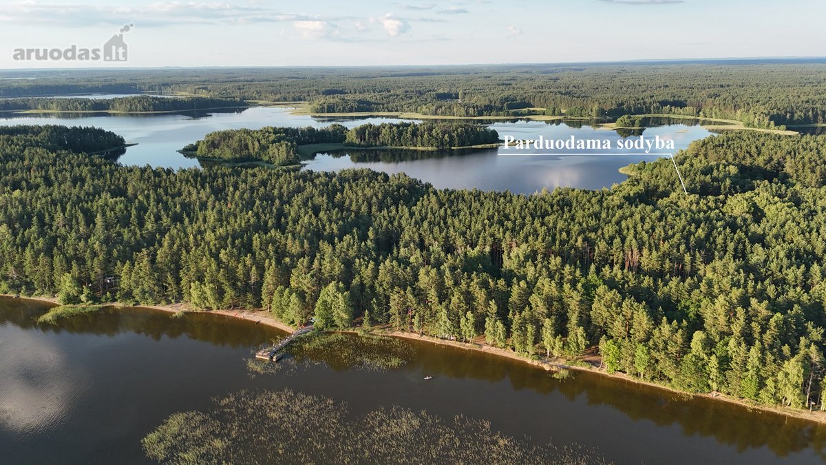 Unikali Oazė Gamtos Apsuptyje Labanoro - nuotraukos Nr. 4