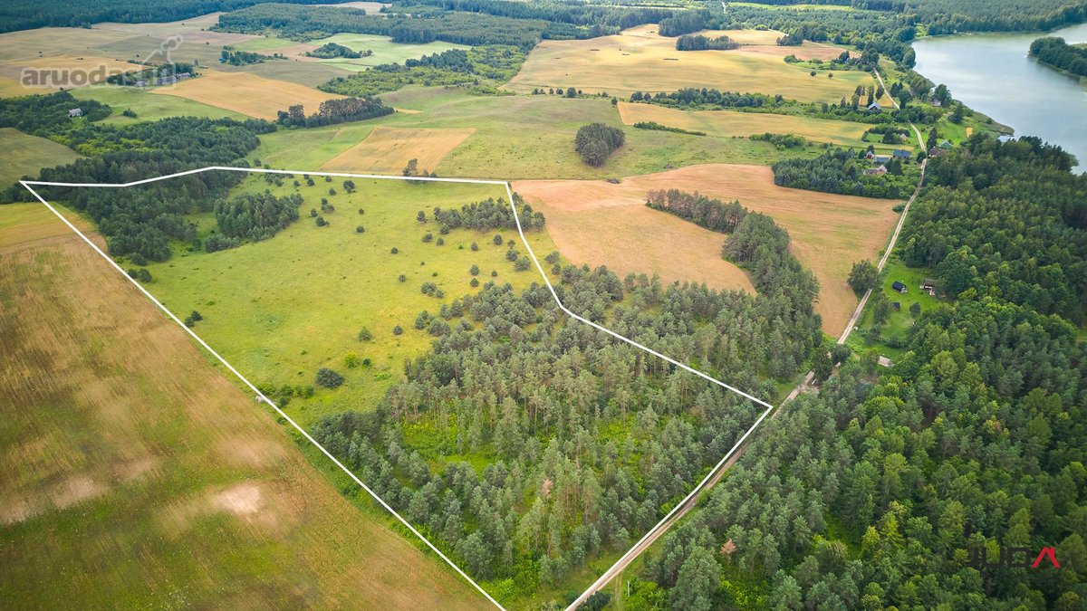 Parduodamas Sklypas Nuostabioje Lazdijų - nuotraukos Nr. 2