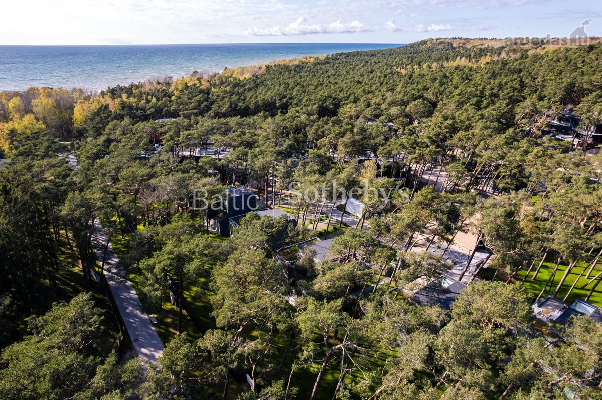 Prabangus pajūrio gyvenimas šimtamečių pušų - nuotraukos Nr. 32