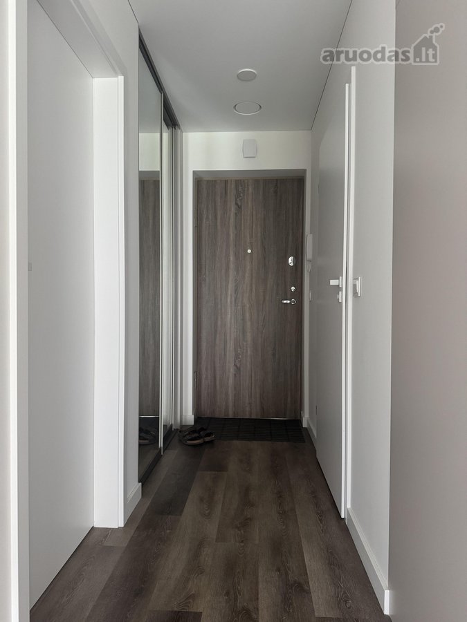 Puikiai Įrengti Erdvūs ,Pušų Apartamentai" - nuotraukos Nr. 29