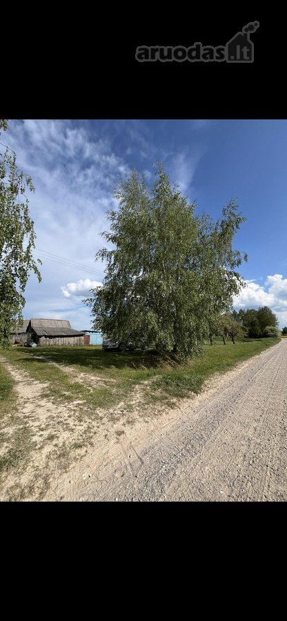 Parduodama rąstinė vieno aukšto sodyba su - nuotraukos Nr. 4