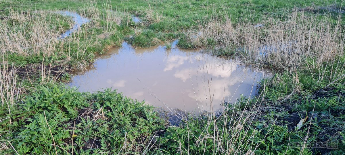 Parduodamas ūkininko sodybos žemės sklypas - nuotraukos Nr. 11