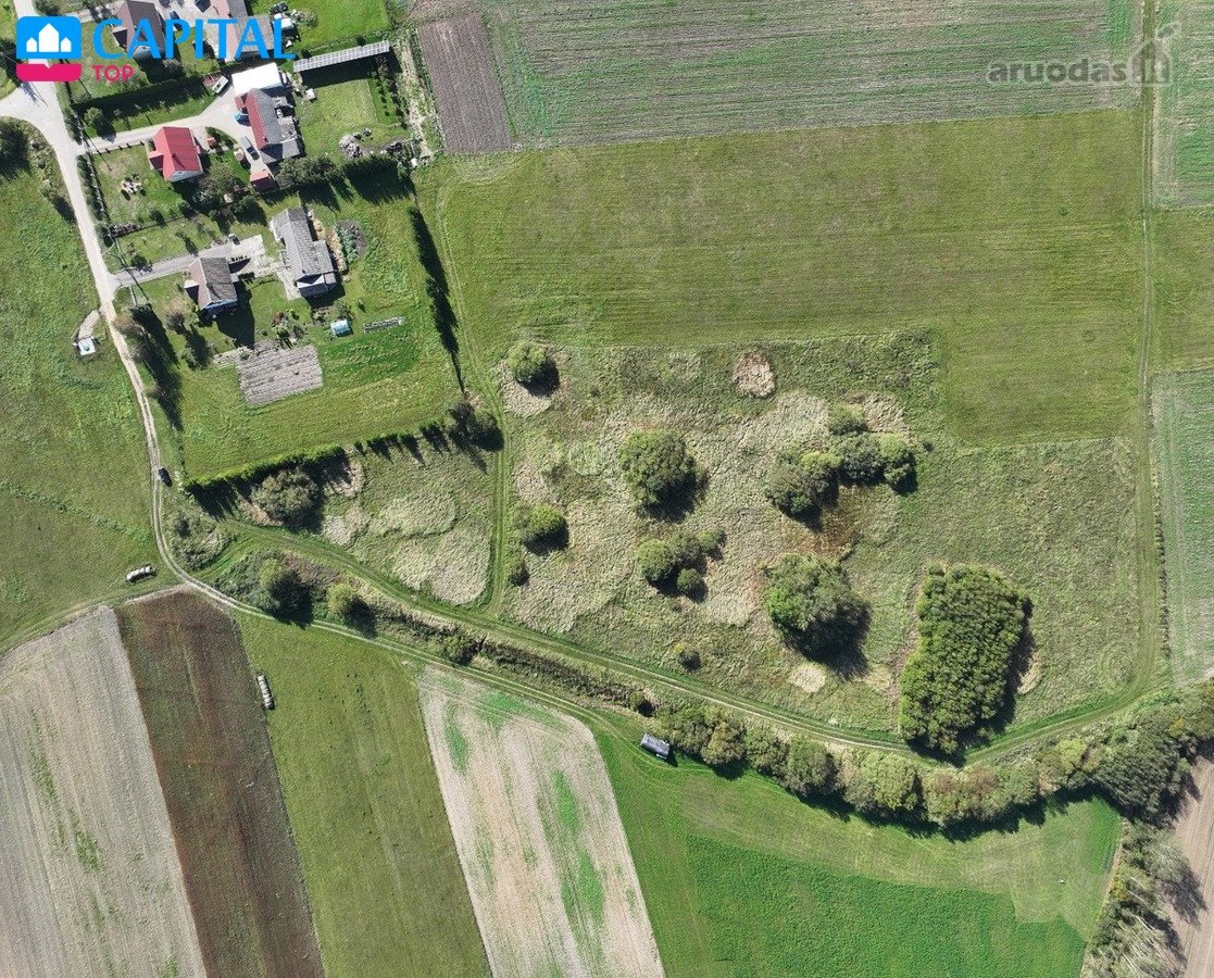 Parduodamas Žemės Ūkio Paskirties Sklypas, - nuotraukos Nr. 11