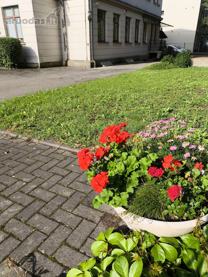 Ieškote Išskirtinės Vietos Savo Verslui - nuotraukos Nr. 5