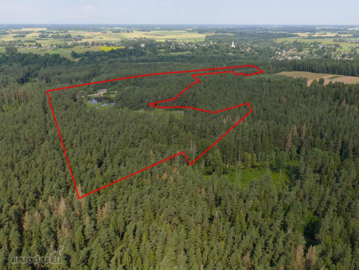 Anykščių rajone, prie pat Kavarsko išskirtinė - nuotraukos Nr. 12