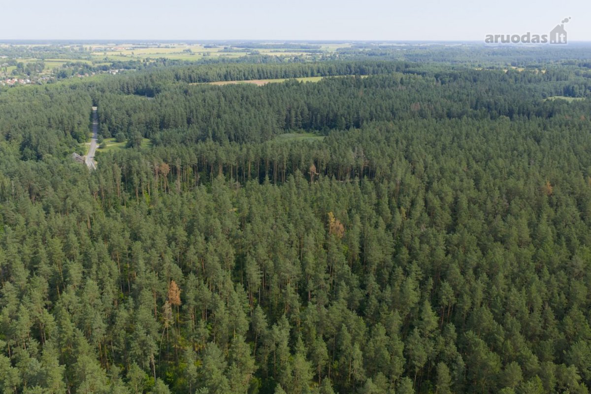 Anykščių rajone, prie pat Kavarsko išskirtinė - nuotraukos Nr. 15