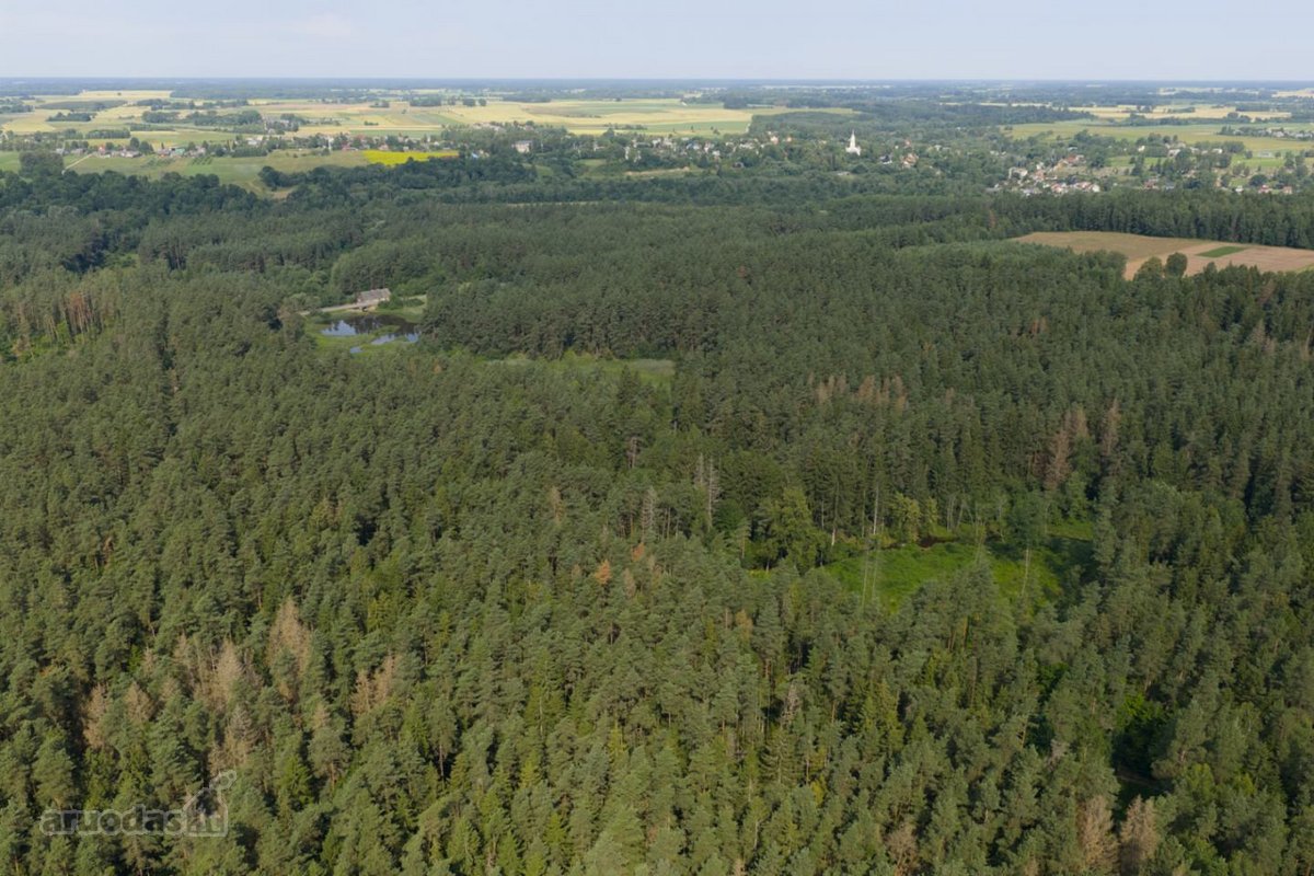 Anykščių rajone, prie pat Kavarsko išskirtinė - nuotraukos Nr. 5