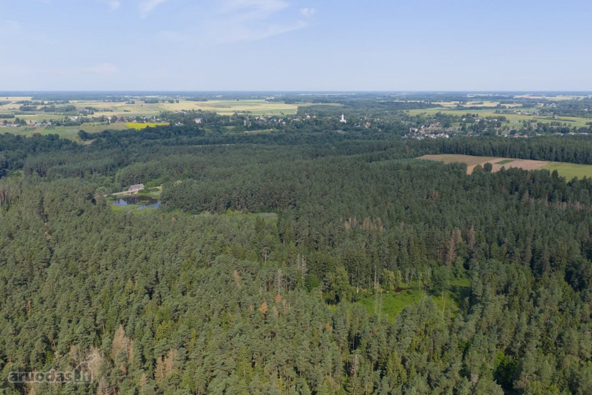 Anykščių rajone, prie pat Kavarsko išskirtinė - nuotraukos Nr. 17
